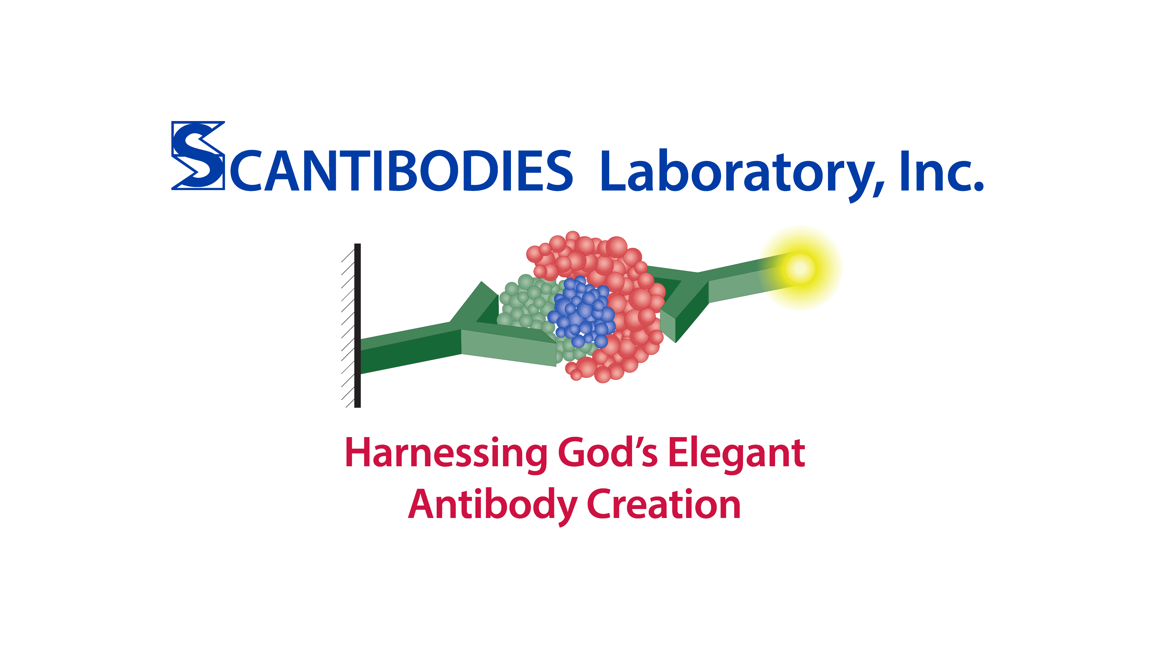 Scantibodies imagotype